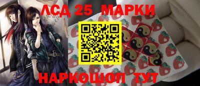 прущие грибы Сланцы
