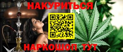 прущие грибы Сланцы