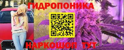 сатива Славгород
