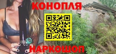 сатива Славгород