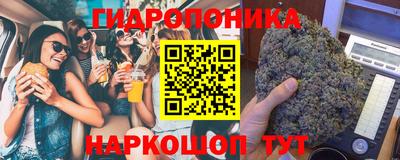 прущие грибы Сланцы