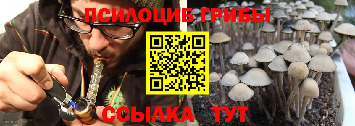 Богородицк  Галлюциногенные грибы Psilocybe  Галлюциногенные грибы GOLDEN TEACHER  Вход с VPN 